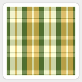 Spring Aesthetic Aillith 2 Hand Drawn Textured Plaid Pattern Sticker